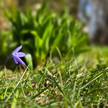 E4 Appartement Graal-Mueritz